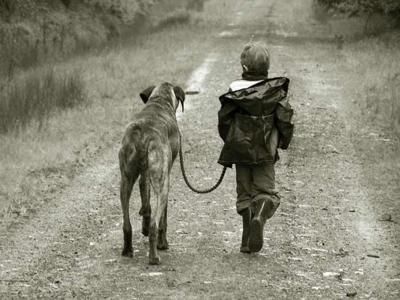 Niños cuidados por animales Niños cuidados por animales