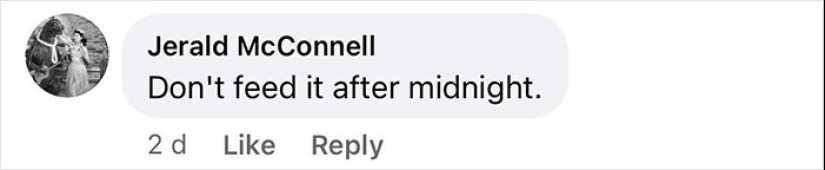 “No encajaba con las reglas artísticas”: figura aterradora desenterrada de una obra de arte del siglo XVIII “No encajaba con las reglas artísticas”: figura aterradora desenterrada de una obra de arte del siglo XVIII