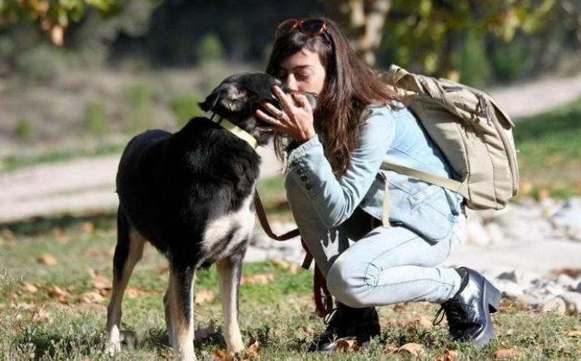 ¡No reconocerás a este perro hoy! Gracias al amor y el cuidado, se convirtió en una belleza.