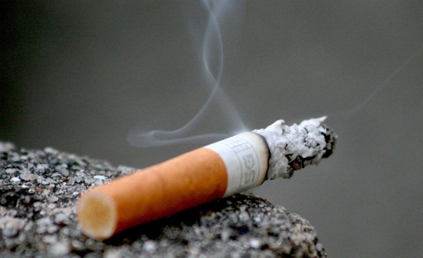 No solo es dañino, sino también útil: cómo los cigarrillos pueden ser útiles No solo es dañino, sino también útil: cómo los cigarrillos pueden ser útiles