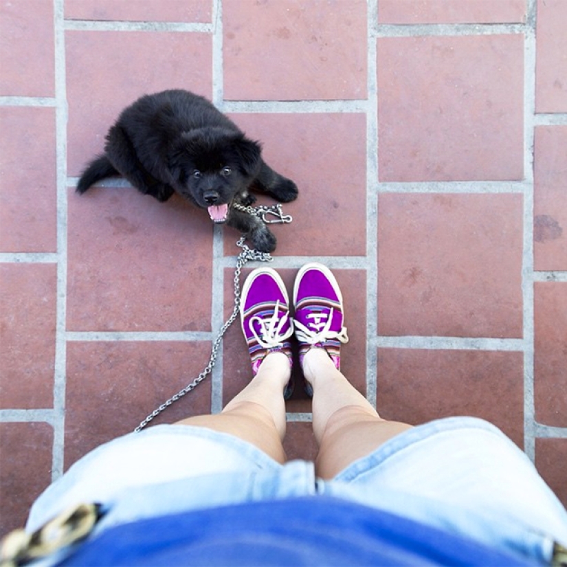 Nogagram. How the limbs of an ordinary girl won the likes of thousands of Instagram users