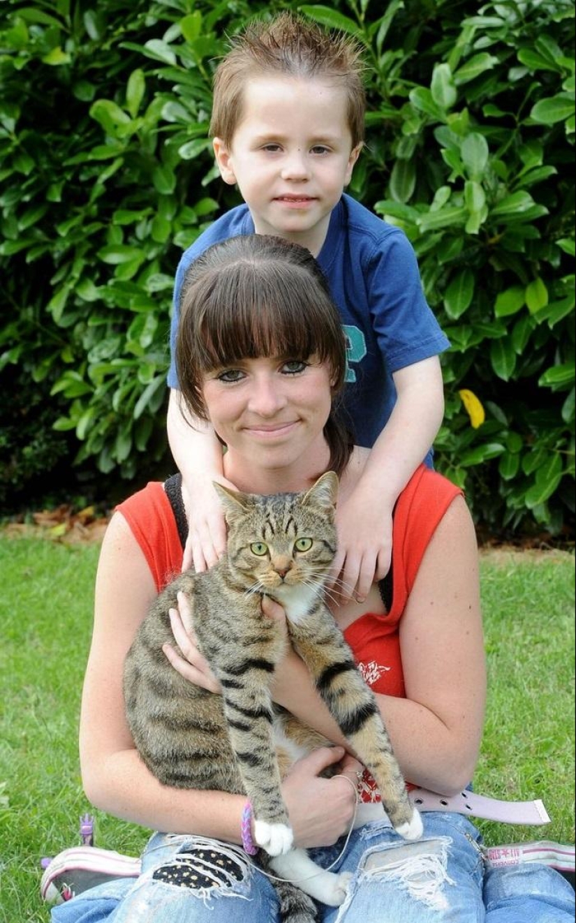 Nominado a "Gato del Año en Gran Bretaña" Nominado a "Gato del Año en Gran Bretaña"