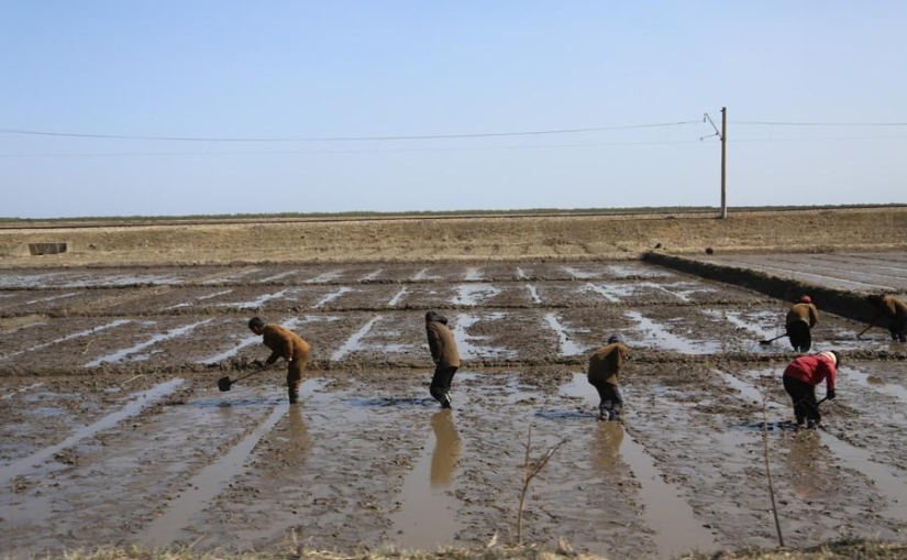 North Korea: More Surprising Facts About the Hermit Kingdom