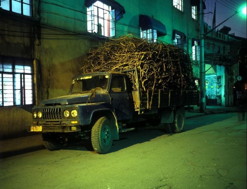 nosotros mismos estamos fuera de lugar nosotros mismos estamos fuera de lugar