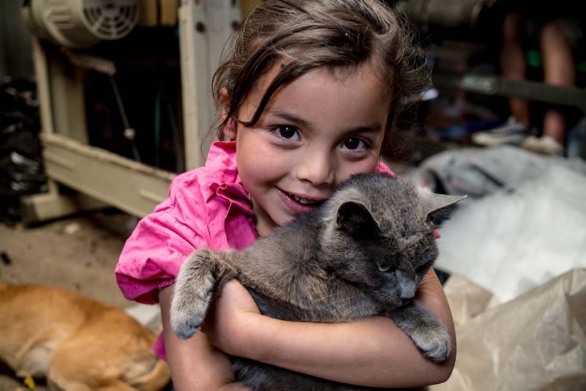 Not a single teddy bear: favorite toys of children from different countries Not a single teddy bear: favorite toys of children from different countries