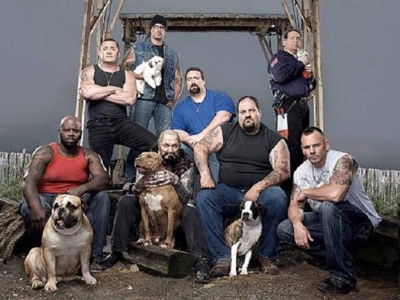 Note to the surgeon! How bikers save animals from cruel owners Note to the surgeon! How bikers save animals from cruel owners