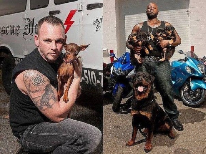 Note to the surgeon! How bikers save animals from cruel owners Note to the surgeon! How bikers save animals from cruel owners