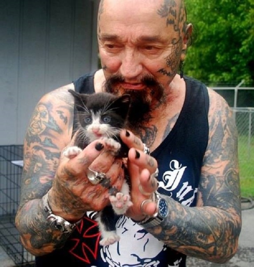 Note to the surgeon! How bikers save animals from cruel owners Note to the surgeon! How bikers save animals from cruel owners