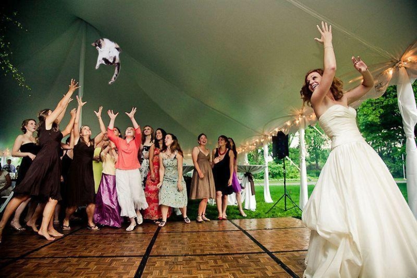 Novias saliendo... ¡gatos!
