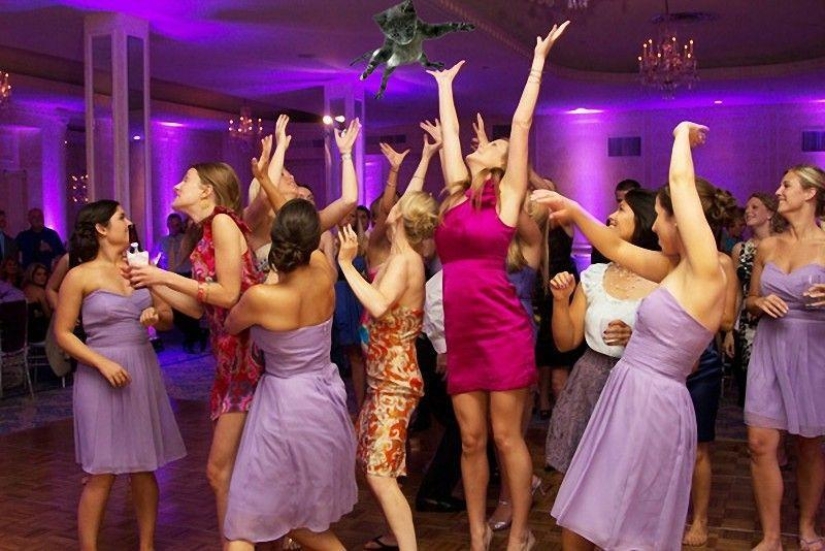 Novias saliendo... ¡gatos!