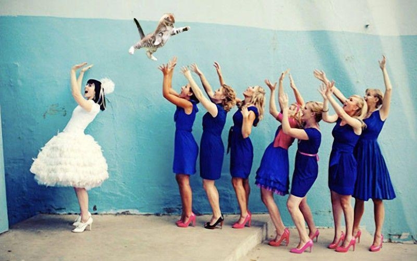 Novias saliendo... ¡gatos!