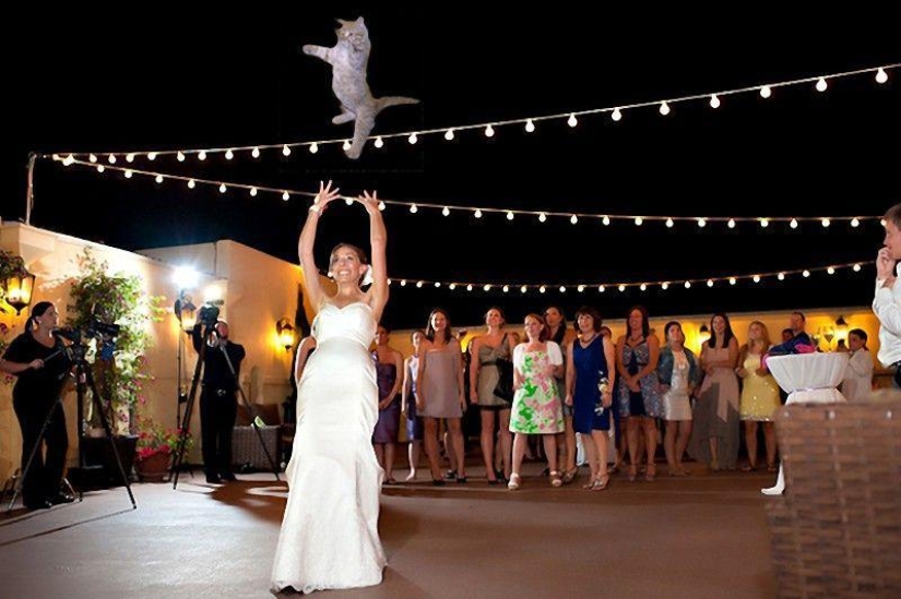 Novias saliendo... ¡gatos!