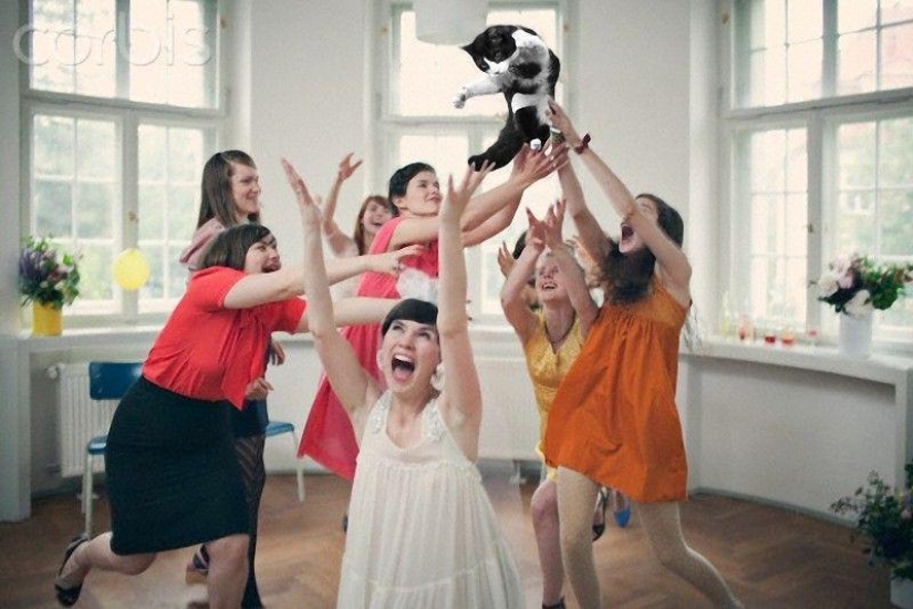 Novias saliendo... ¡gatos!