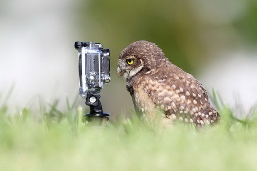 Now a bird will fly out of here Now a bird will fly out of here