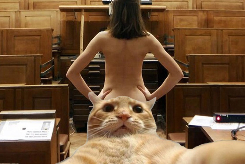 Nueces duras: finalistas de la Competencia Best Buttocks de la Universidad de Cambridge Nueces duras: finalistas de la Competencia Best Buttocks de la Universidad de Cambridge