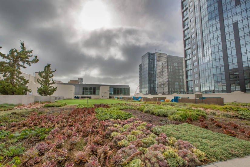 Nueva oficina de Twitter en San Francisco Nueva oficina de Twitter en San Francisco