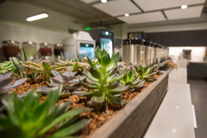 Nueva oficina de Twitter en San Francisco Nueva oficina de Twitter en San Francisco