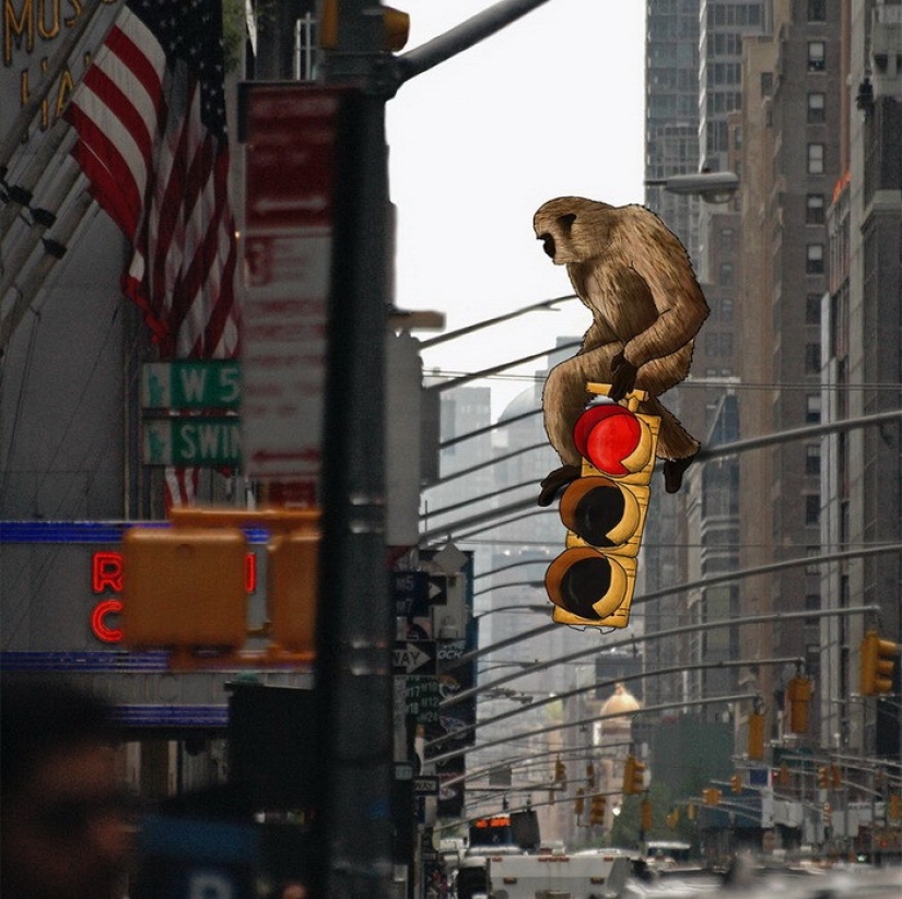 Nueva York alegre a través de los ojos de Eliska Podzimkova