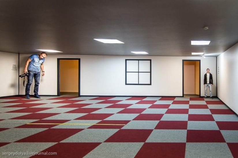 Nueva Zelanda. Mundo desconcertante Nueva Zelanda. Mundo desconcertante