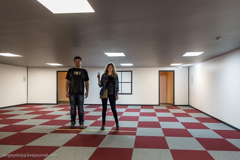 Nueva Zelanda. Mundo desconcertante Nueva Zelanda. Mundo desconcertante