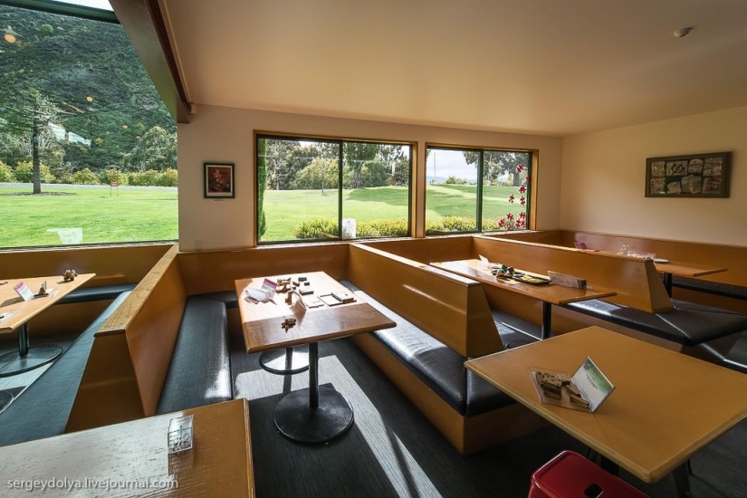 Nueva Zelanda. Mundo desconcertante Nueva Zelanda. Mundo desconcertante