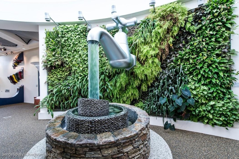 Nueva Zelanda. Mundo desconcertante Nueva Zelanda. Mundo desconcertante