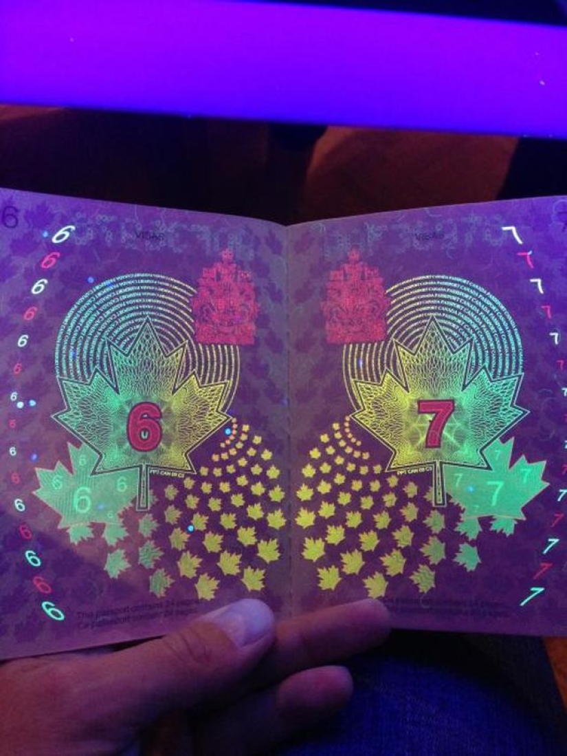 Nuevo pasaporte de un ciudadano de Canadá a la luz del ultravioleta