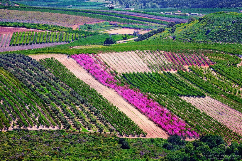 Nunca vas a adivinar dónde: la mezcla de la cultura del mundo y de la naturaleza en un pequeño país de Oriente medio