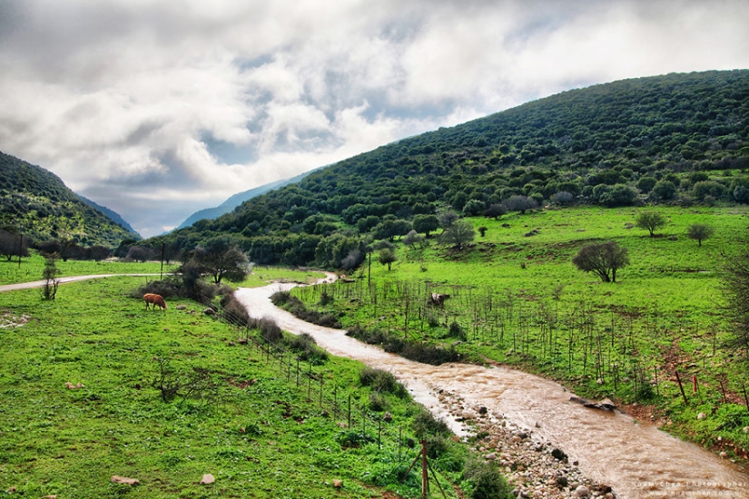Nunca vas a adivinar dónde: la mezcla de la cultura del mundo y de la naturaleza en un pequeño país de Oriente medio