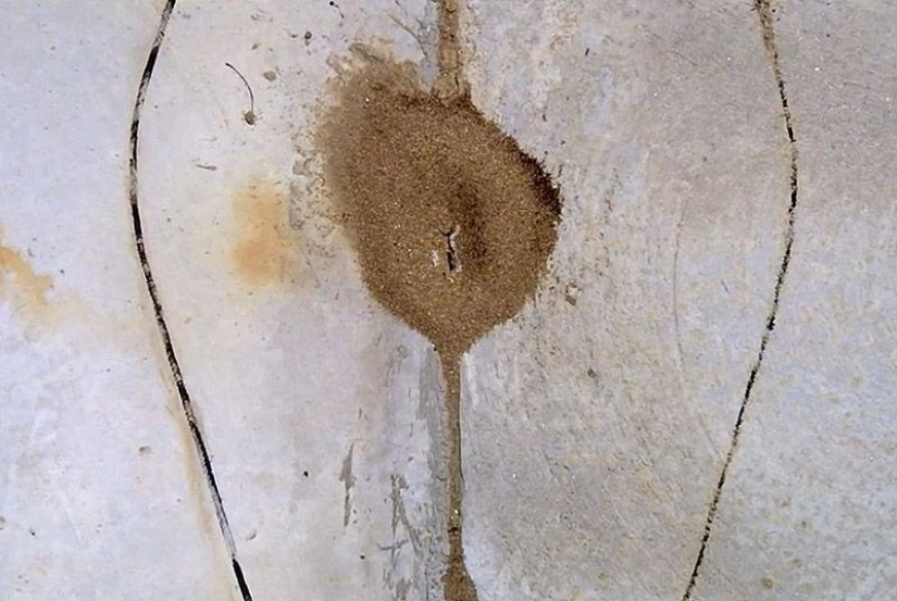 Occupy street art