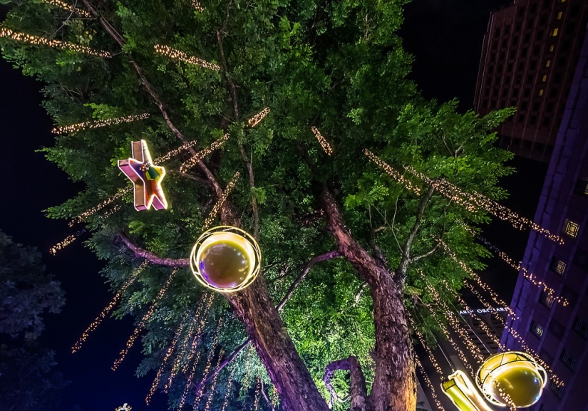 Ochard Road: cómo se ve la calle más famosa de Singapur antes de Navidad y Año Nuevo Ochard Road: cómo se ve la calle más famosa de Singapur antes de Navidad y Año Nuevo