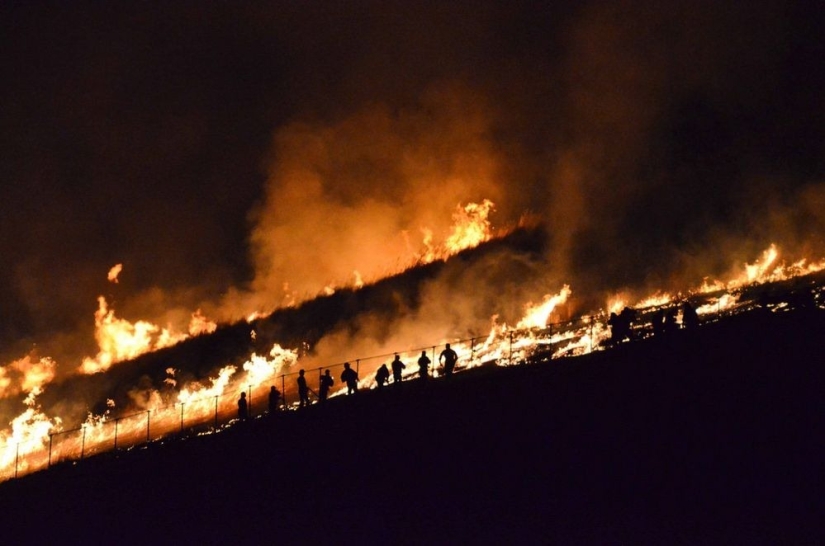 Oh, estas rarezas orientales: por qué los japoneses prenden fuego a la montaña todos los años