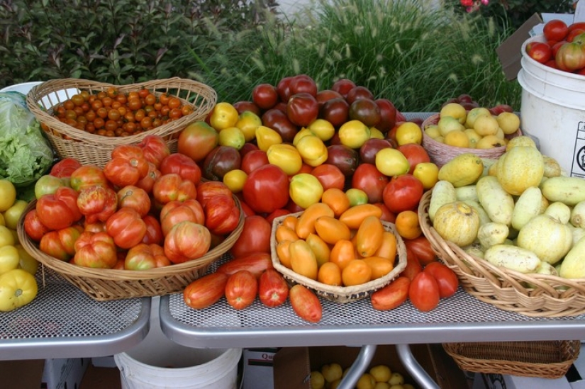 Oh those delicious tomatoes! 10 Health Benefits of Love Apples