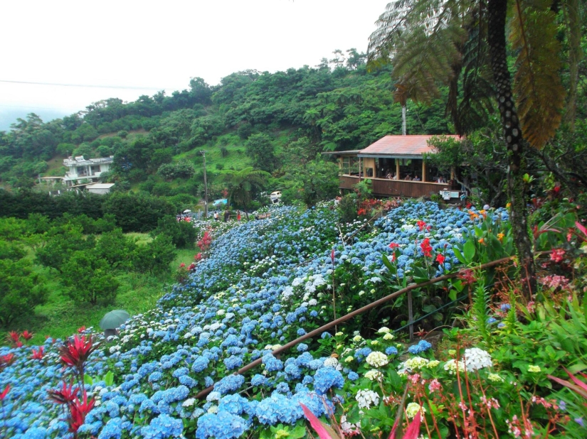 Okinawa: the island of longevity and the birthplace of karate