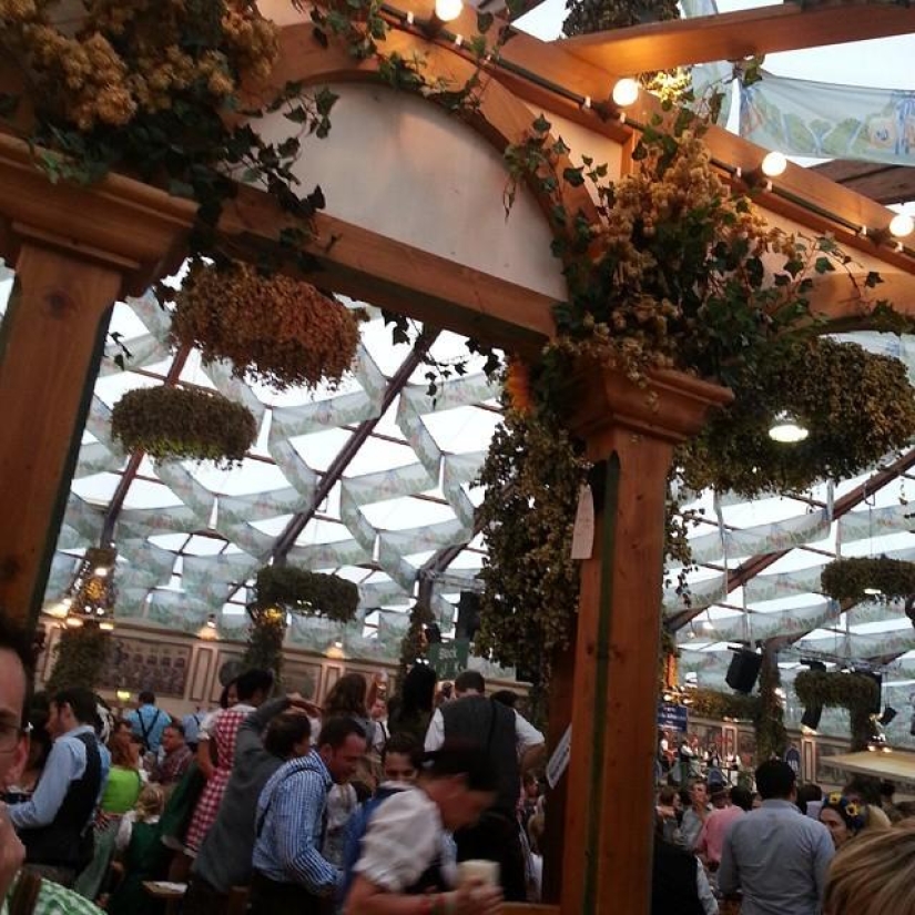 oktoberfest 2014