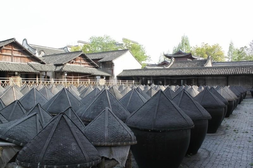 One day in the "Chinese Venice" One day in the "Chinese Venice"