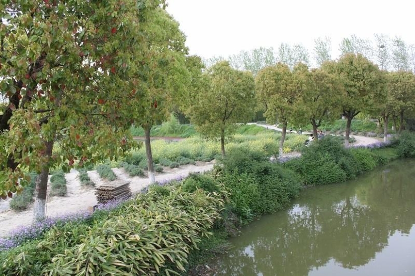 One day in the "Chinese Venice" One day in the "Chinese Venice"