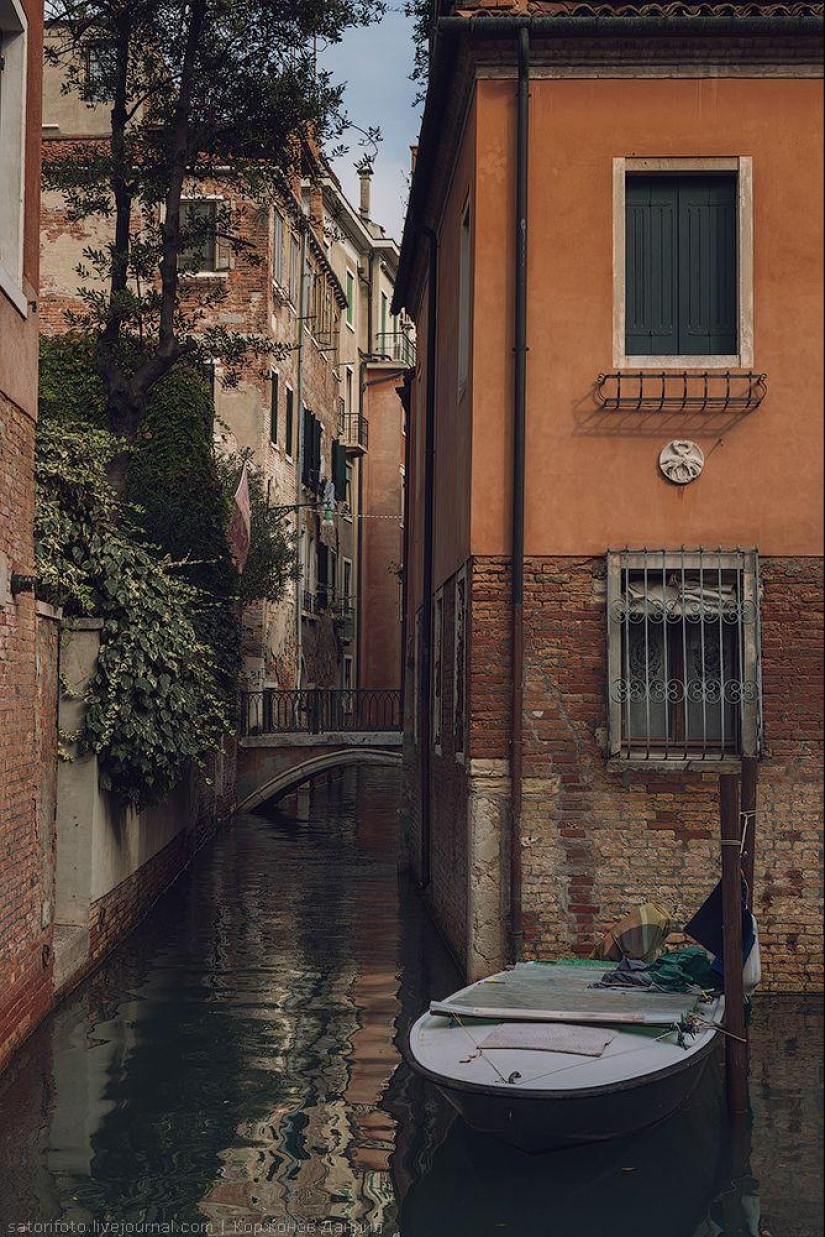 One day in Venice