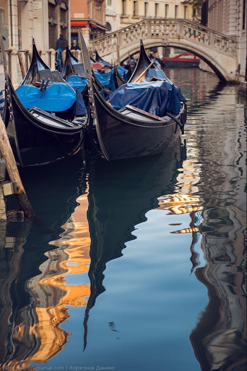 One day in Venice