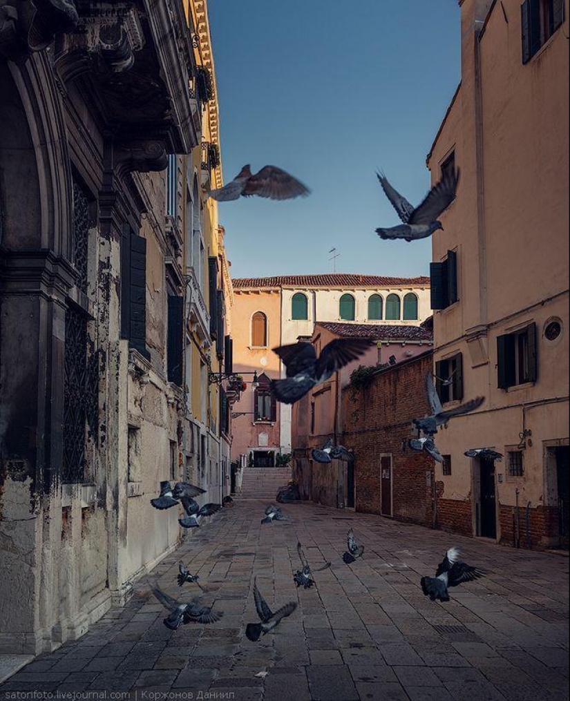 One day in Venice