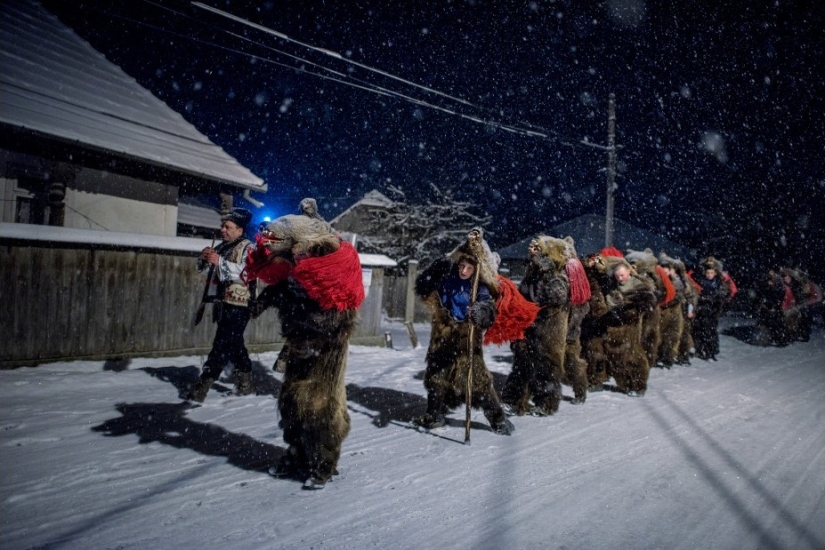 Oso baila en Rumania para ahuyentar malos espíritus Oso baila en Rumania para ahuyentar malos espíritus