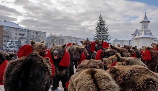Oso baila en Rumania para ahuyentar malos espíritus