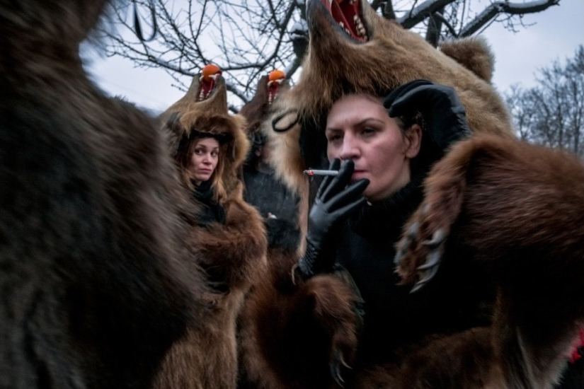 Oso baila en Rumania para ahuyentar malos espíritus Oso baila en Rumania para ahuyentar malos espíritus