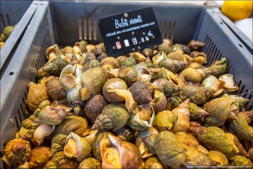 Ostras por tres kopeks o un mercado de pescado a orillas del Canal de la Mancha