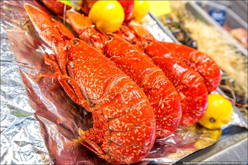 Ostras por tres kopeks o un mercado de pescado a orillas del Canal de la Mancha