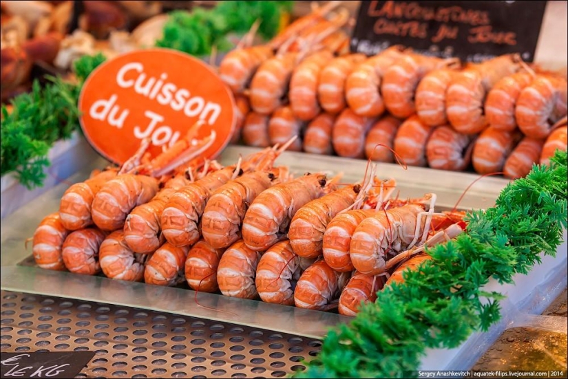 Ostras por tres kopeks o un mercado de pescado a orillas del Canal de la Mancha