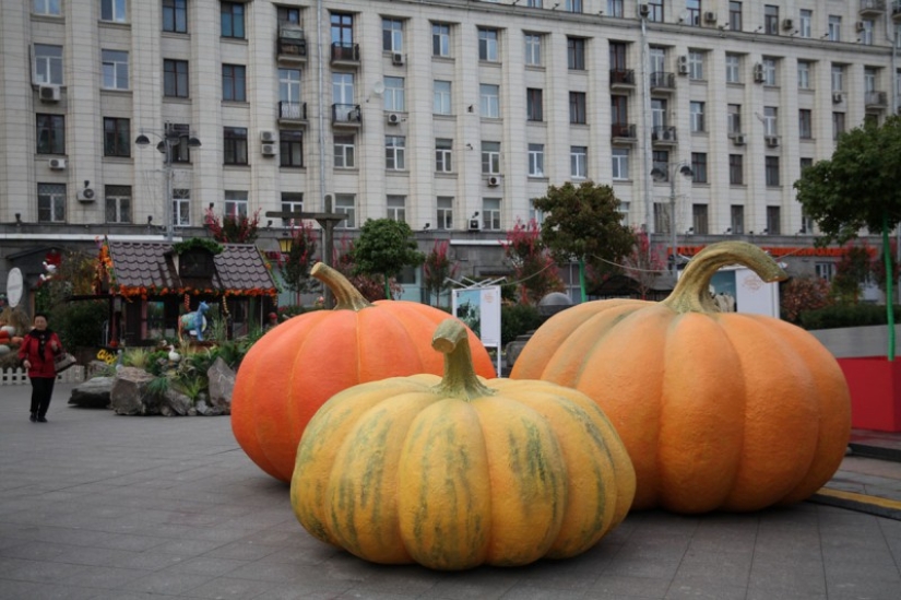 Otoño gastronómico en Moscú