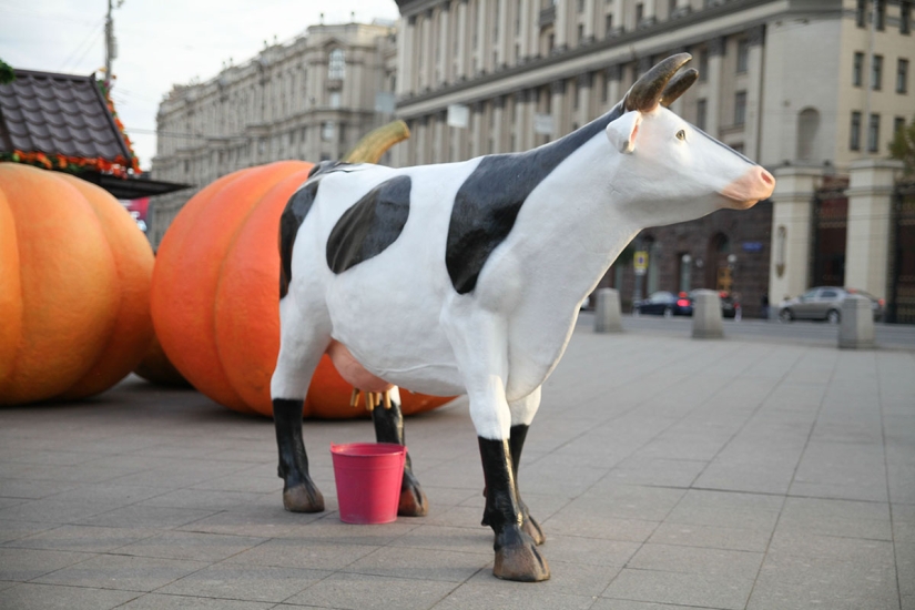 Otoño gastronómico en Moscú