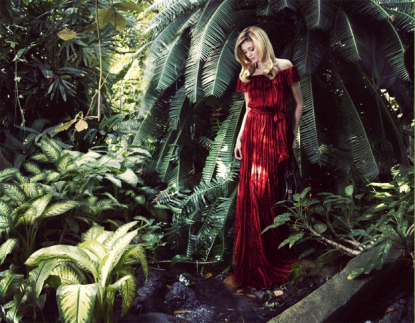 Otra tanda de fotos en vivo Otra tanda de fotos en vivo