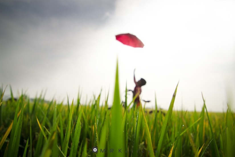 Out of Focus: Helpful Hints